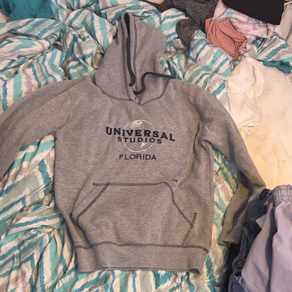 Universal Gray Hoodie
